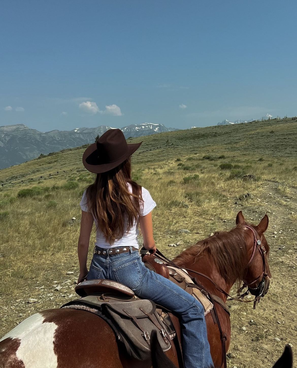 Libre como el viento